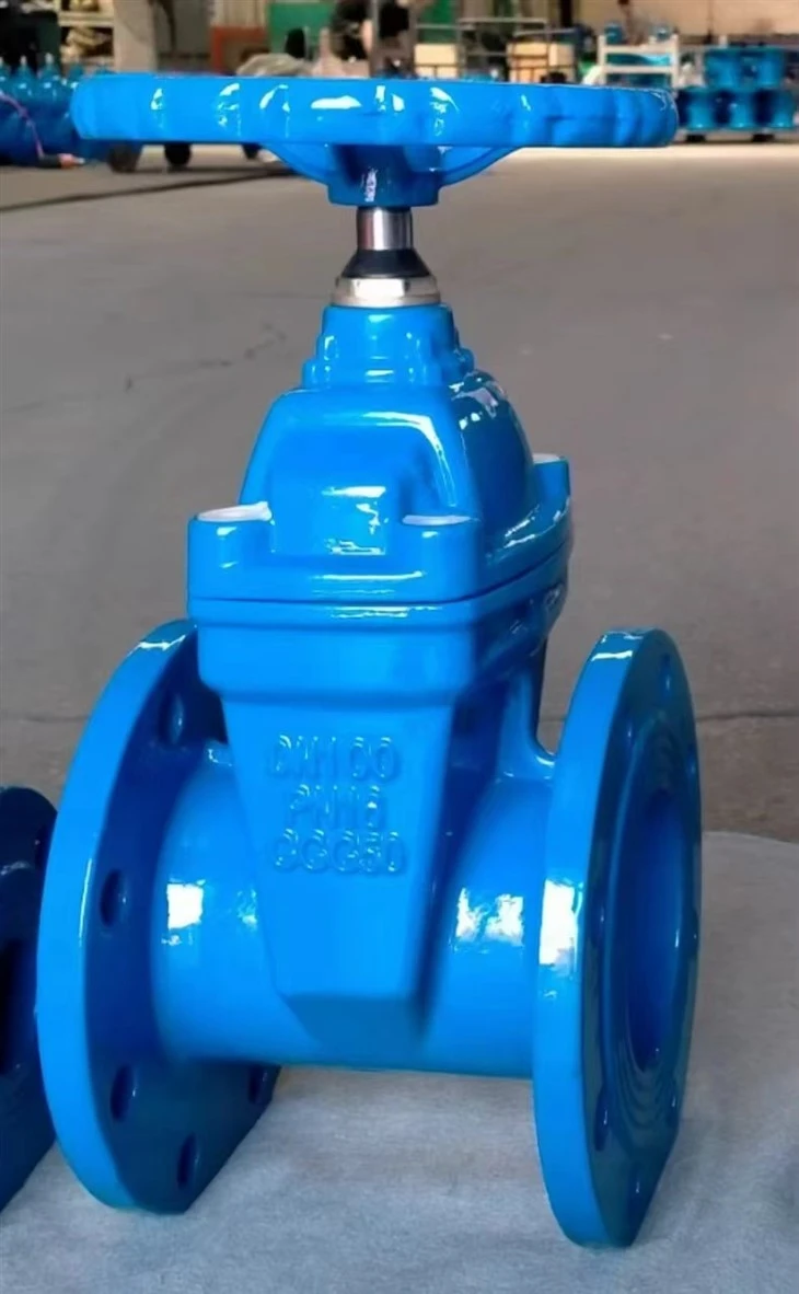 Ductile Iron Flanged Fen Gate Valv