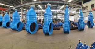 product-311-161 product-311-161